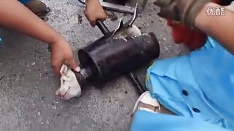 鋼管與扣件 現(xiàn)代建筑施工中的關鍵構(gòu)件